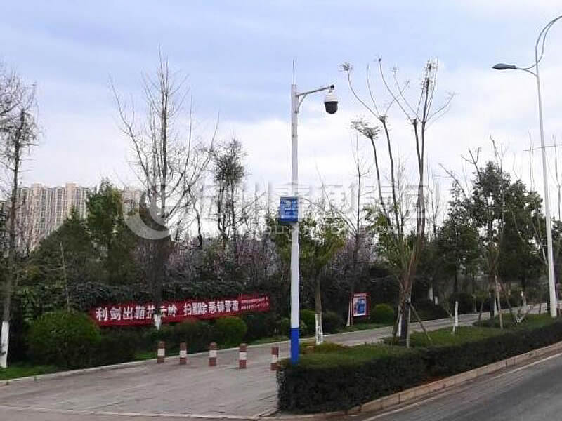 DJG-025，電子警察桿，治安監(jiān)控桿